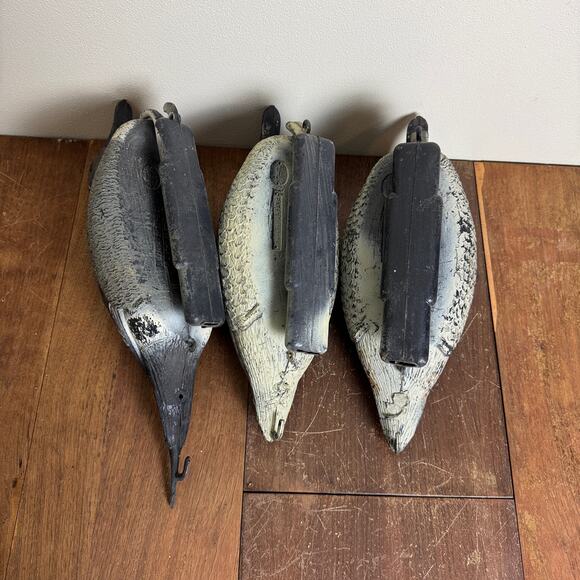 Carry Lite Duck Decoy Pintail Ducks Plastic Made In Italy 2 Hens 1 Drake - Picture 4 of 16